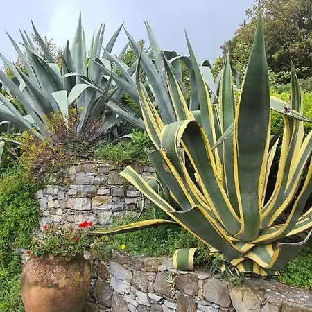 アパート Agave